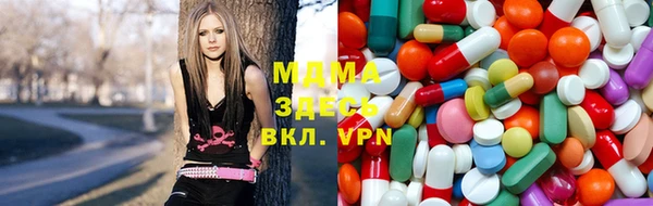 индика Бронницы