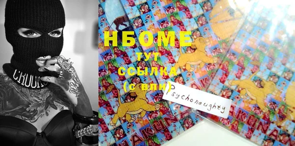 индика Бронницы