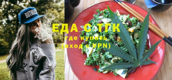 индика Бронницы