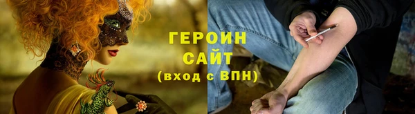 индика Бронницы