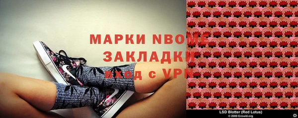 индика Бронницы