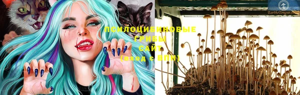 хмурый Белоозёрский