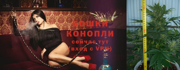 хмурый Белоозёрский