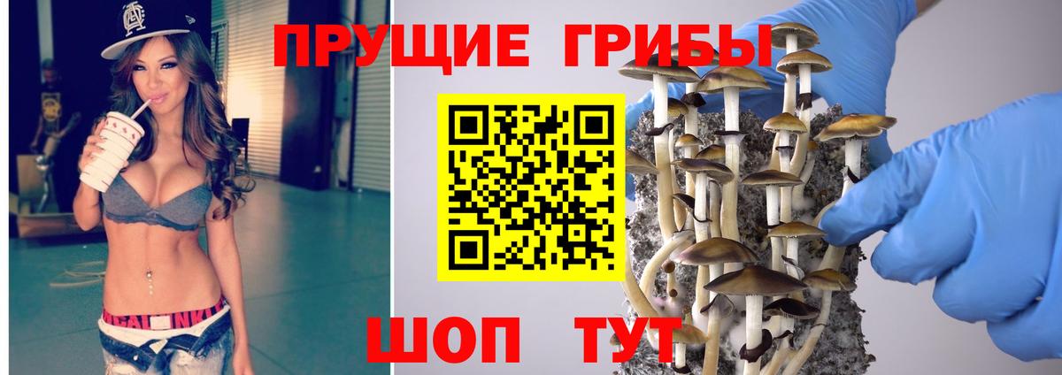 Галлюциногенные грибы Cubensis  Вход с VPN  Северск 